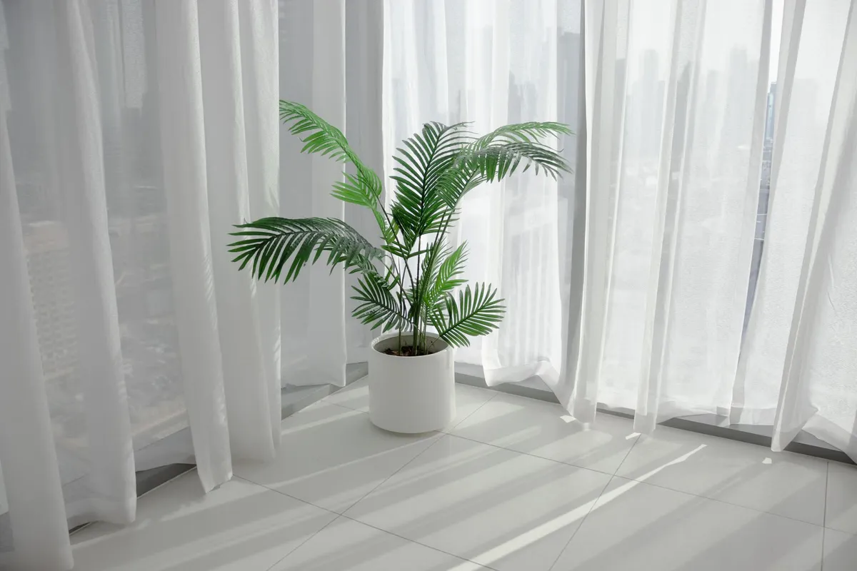 Summer kitchen with tropical plants and bright natural light accessories