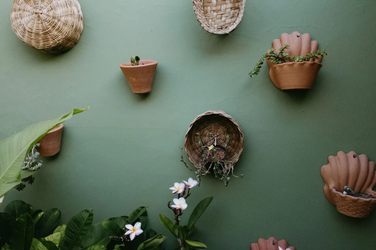 Tropical interior room with lush plants, rattan furniture, and warm botanical colors